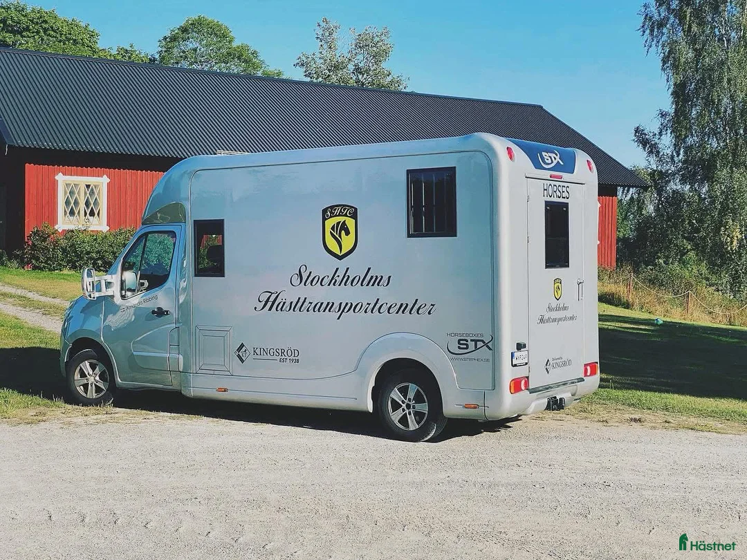 Hästlastbilar  fordon & transport till salu: Super fin STX Hästbuss  i Södertälje - Annons 1