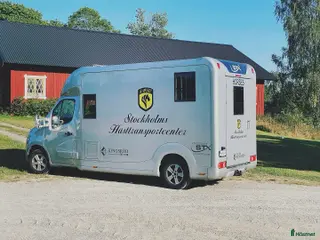 Hästlastbilar fordon & transport till salu: Super fin STX Hästbuss - Annons 6
