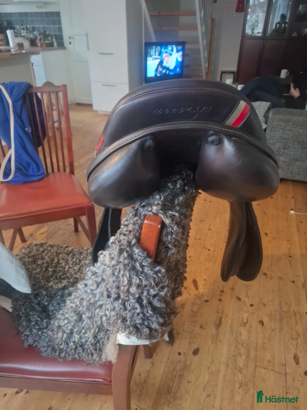 Sadlar hästutrustning till salu: Erreplus JF -21 i Saltsjö-Boo - Annons 6