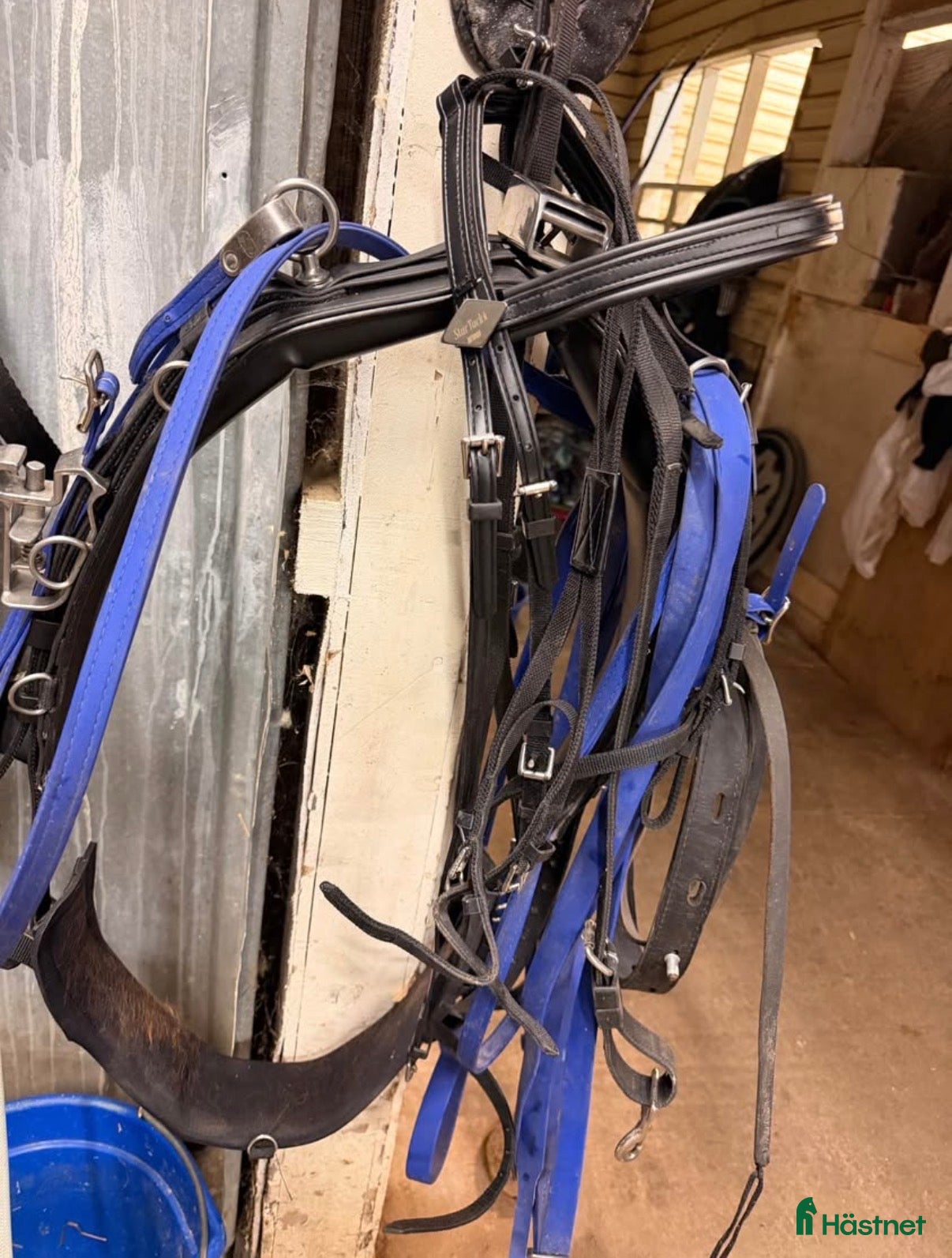 Travselar trav till salu: Tävlingssele säljes i Boden - Annons 1