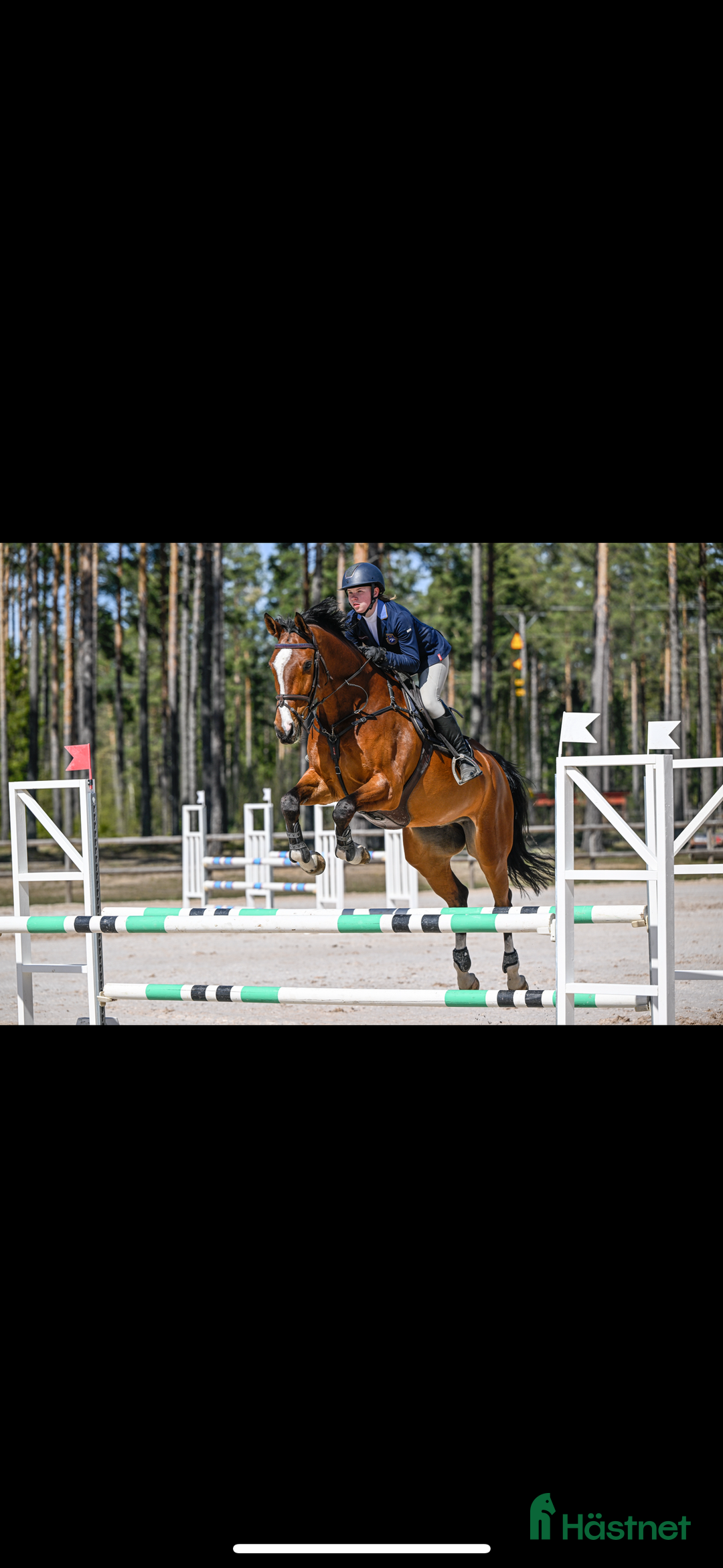 Fälttävlan hästar till salu: Fälttävlan/hoppning  i Östervåla - Bild 4