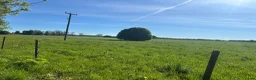  stallplats finnes: Sommarbete finnes - Annons 2