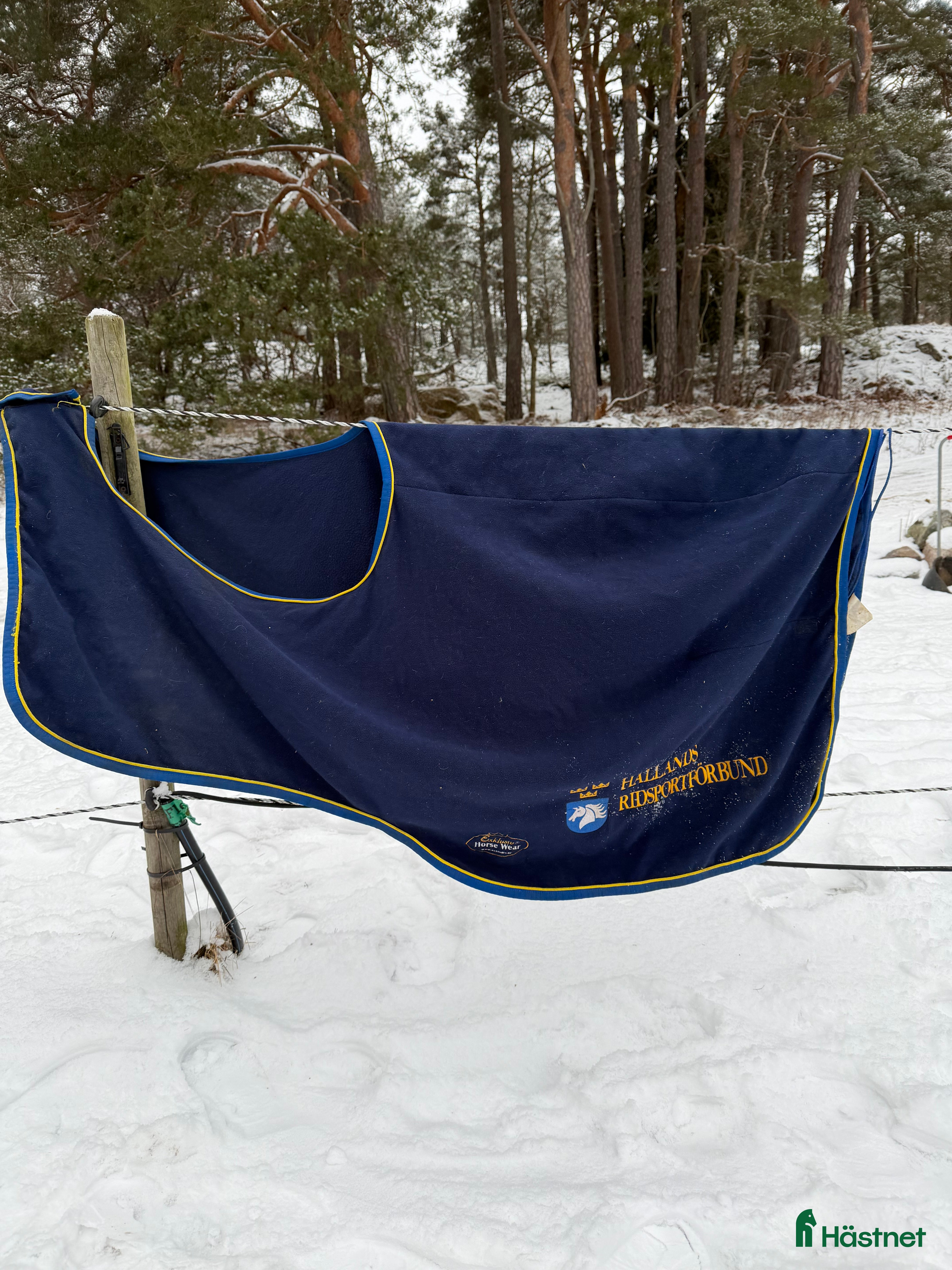 Täcken hästutrustning Hollands ridsportförbund ländtäcke  i Värmdö - Annons 8
