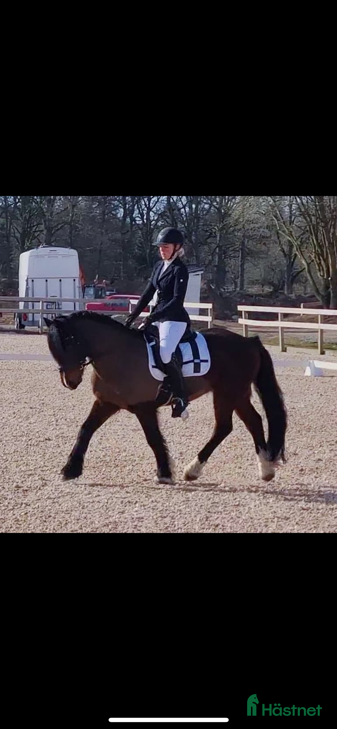 Schabrak & Vojlockar hästutrustning till salu: Equestrian Stockholm schabrak  i Holsbybrunn - Annons 3