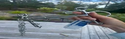 Bett hästutrustning till salu: Ny utrustning (Inkl. sadelgjord, padd, stigbygel) i Värmdö - Annons 6