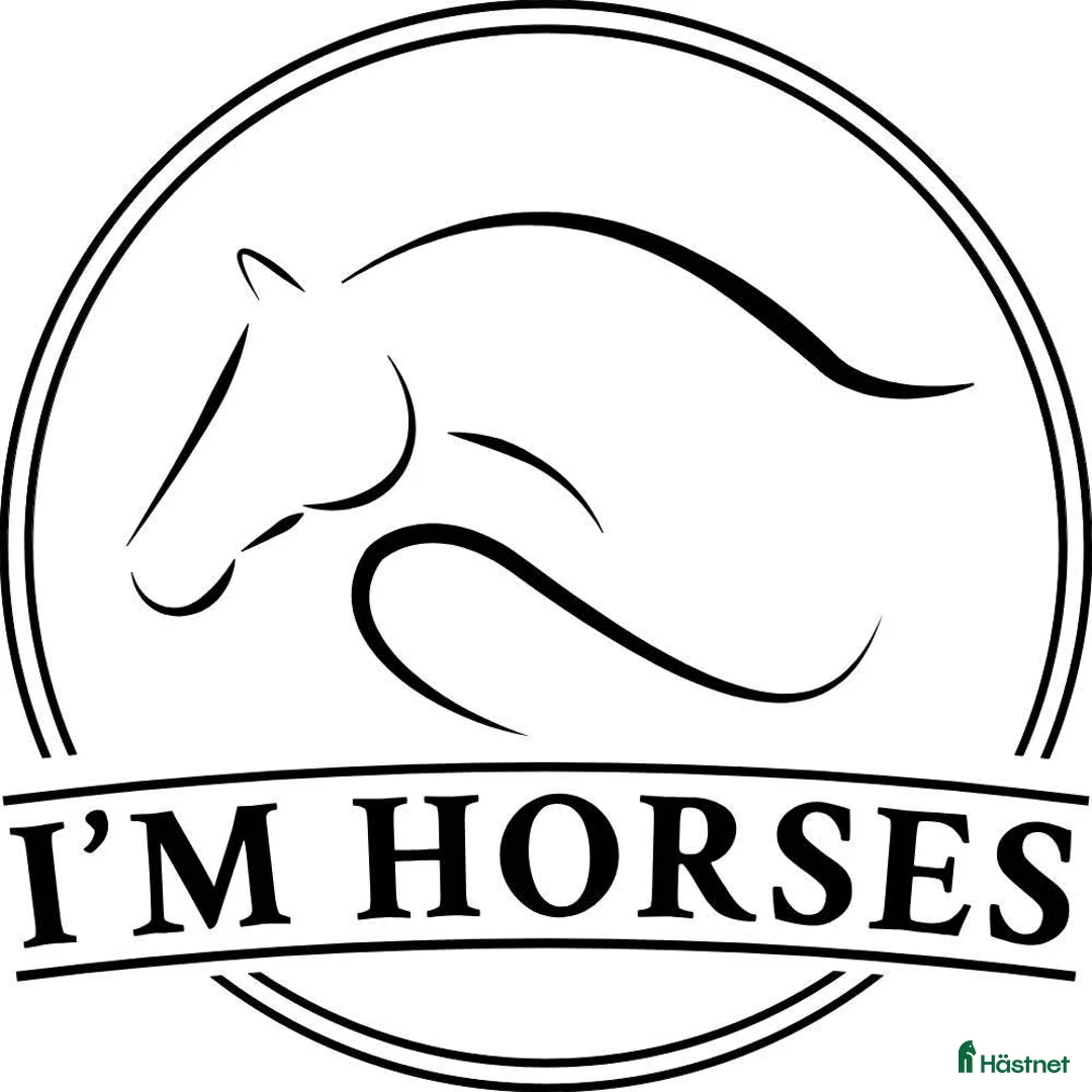  hästservice finnes: Vidareutbildning/tillridning - Annons 1