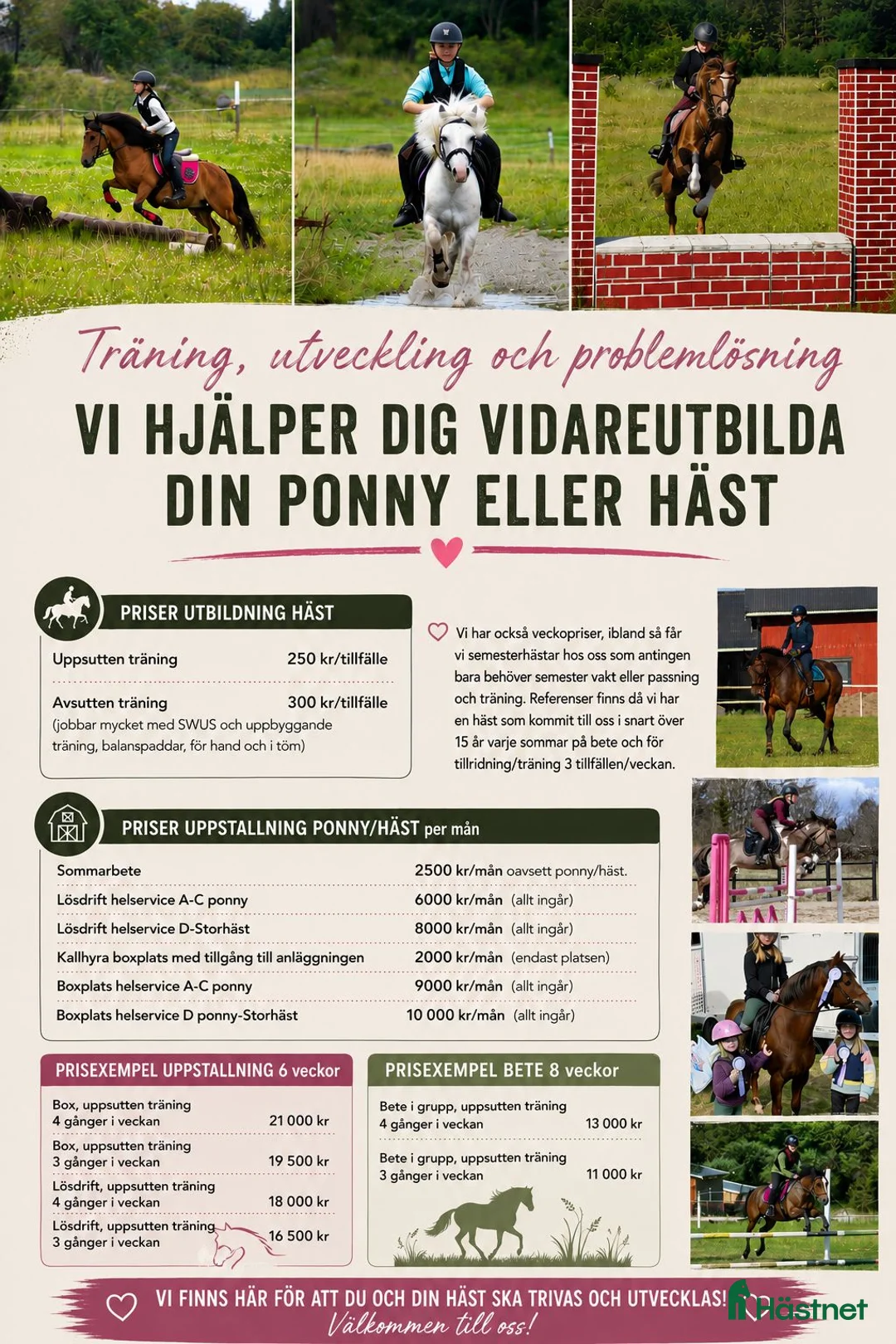  hästservice finnes: Erbjuder utbildning av er ponny/häst - Annons 6