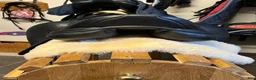 Sadlar hästutrustning till salu: Prestige inspire 15” 35M - Annons 3
