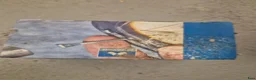 Schabrak & Vojlockar hästutrustning till salu: Div tillbehör säljes - Annons 14