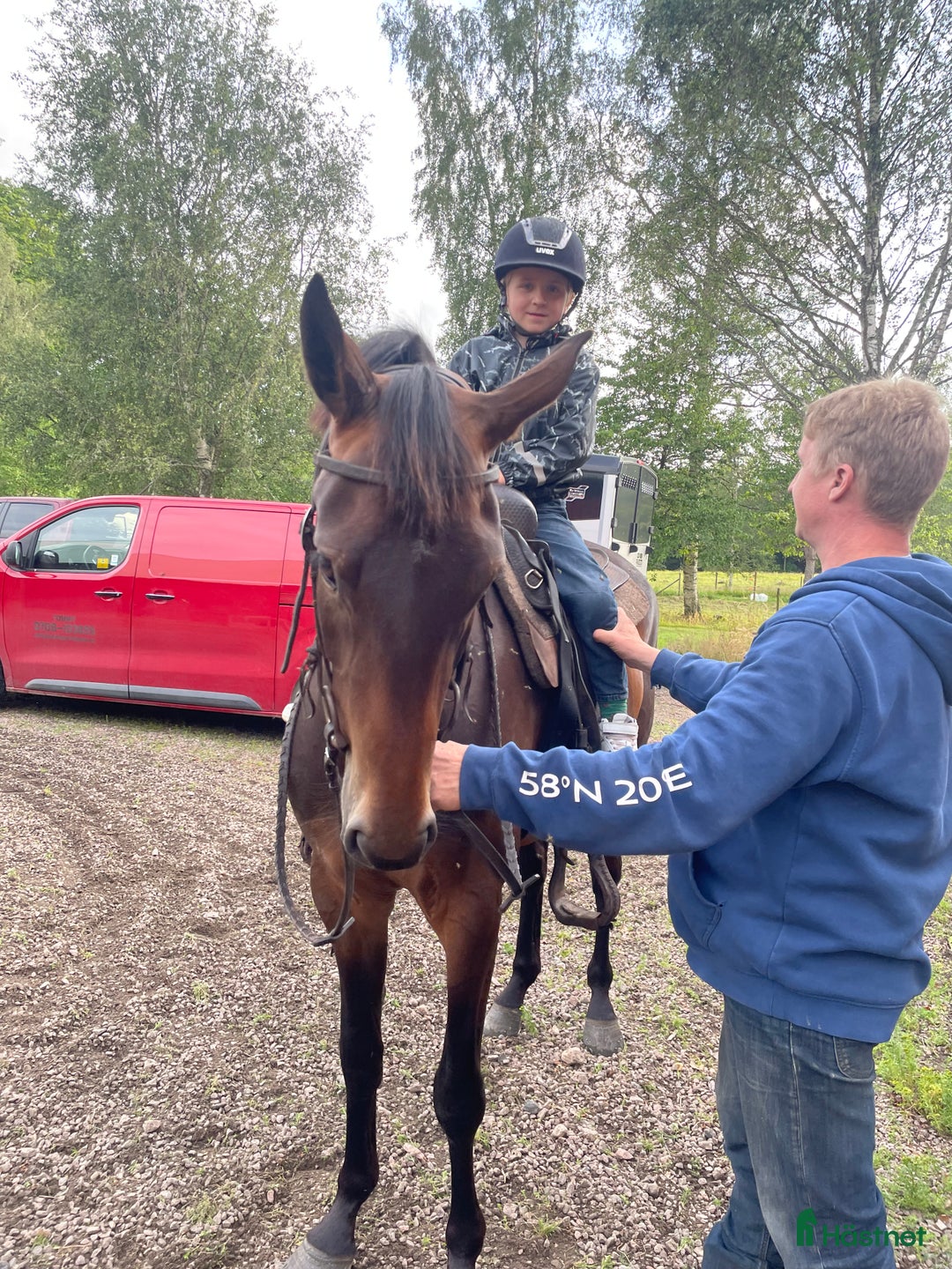 Allround hästar till salu: Trevligt allround sto för framtiden 🐴 i Skövde - Annons 10