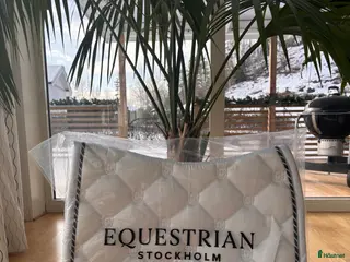 Schabrak & Vojlockar hästutrustning ES White Perfection - Annons 21