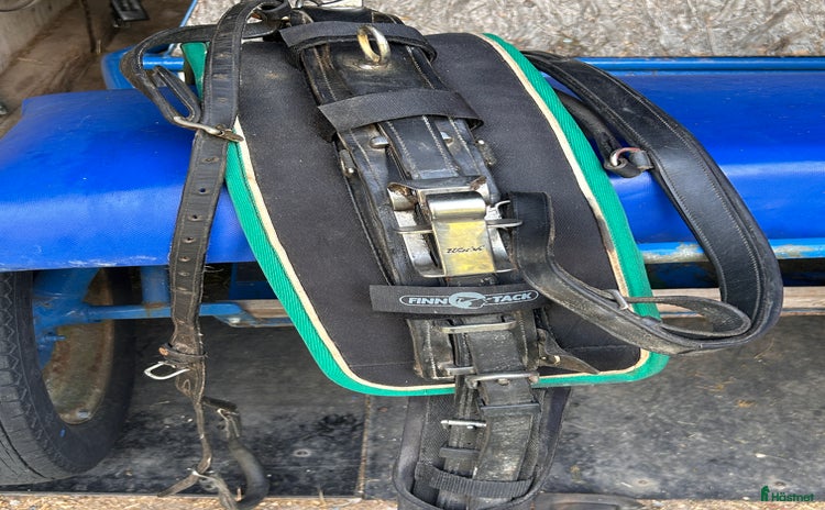 Travselar trav till salu i Moliden - Annons 11