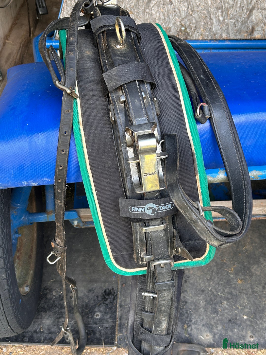 Travselar trav till salu: Travsele full i Moliden - Annons 1