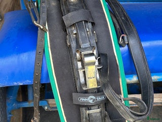 Travselar trav till salu: Travsele full i Moliden - Annons 11