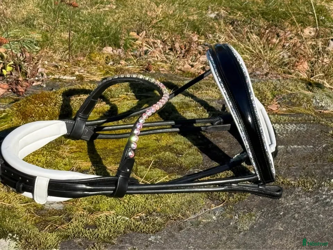 Träns hästutrustning till salu: Fint träns med lack/strass - Annons 2