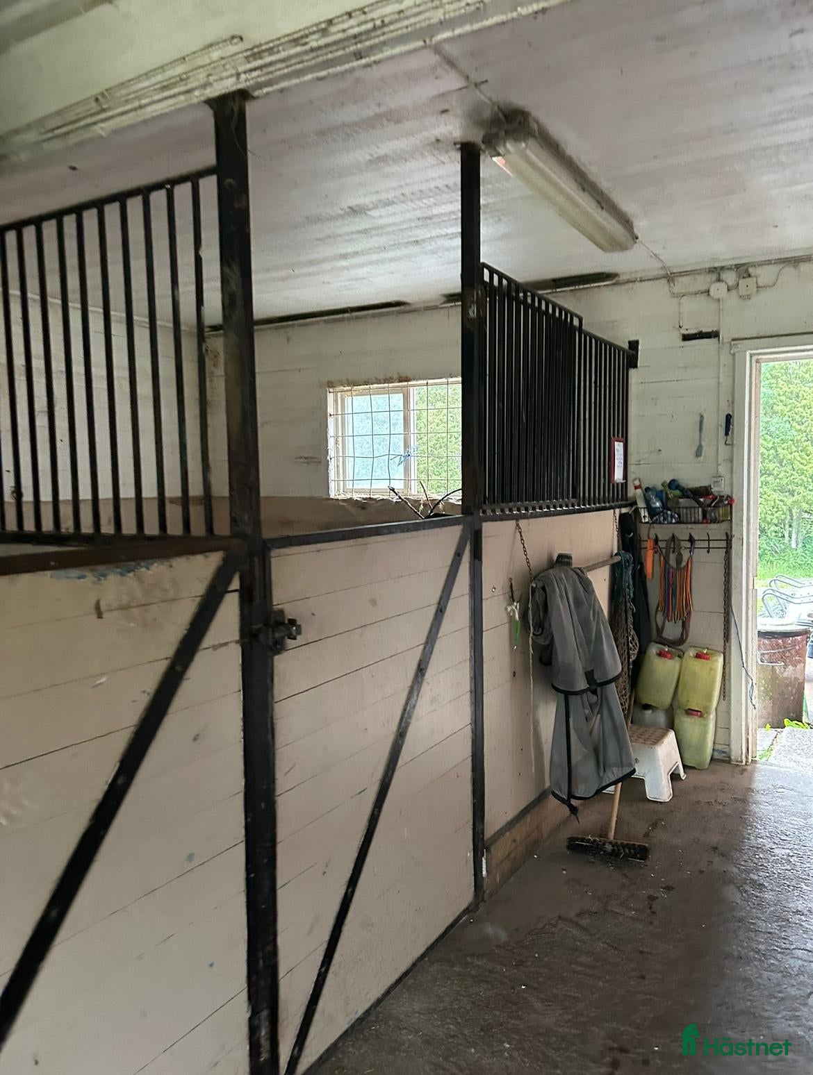  stallplats Ledig boxplats för fånghäst! - Annons 14