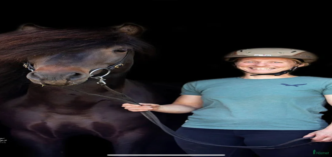 Galleribild {{count}}