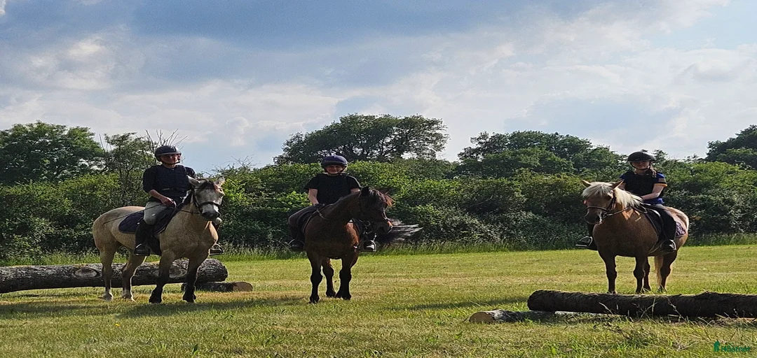 Galleribild {{count}}