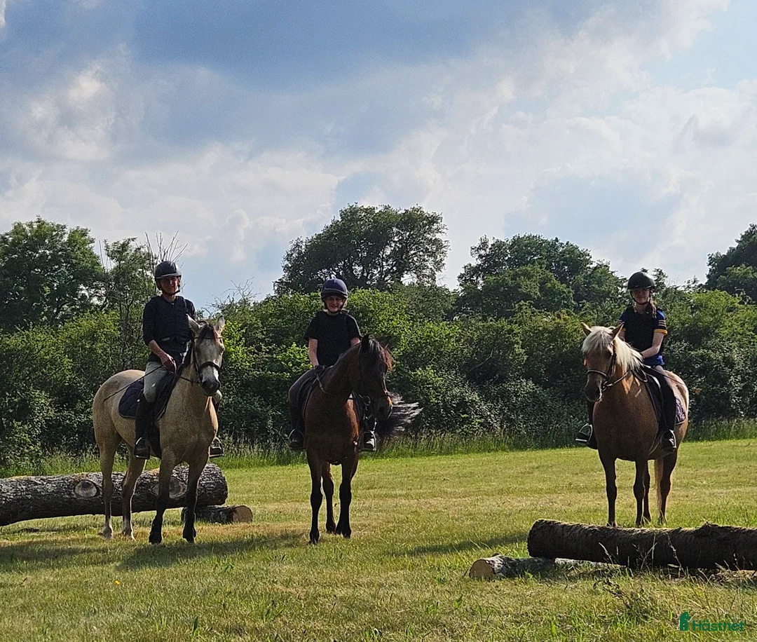 Galleribild {{count}}