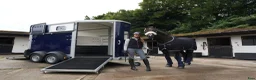 Hästtransporter  fordon & transport till salu: Ifor Williams HB 506 - Annons 4