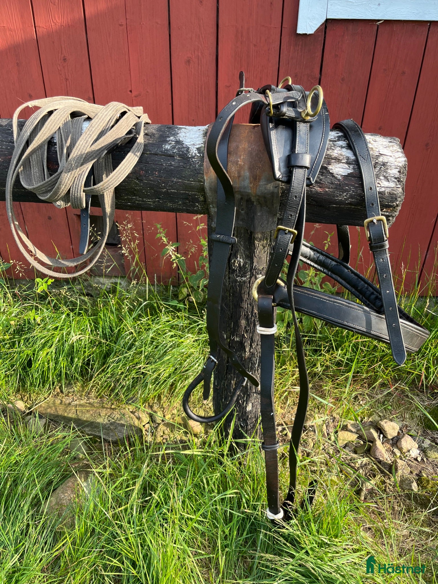 Körselar körning till salu: Körsele shettis  - Annons 1