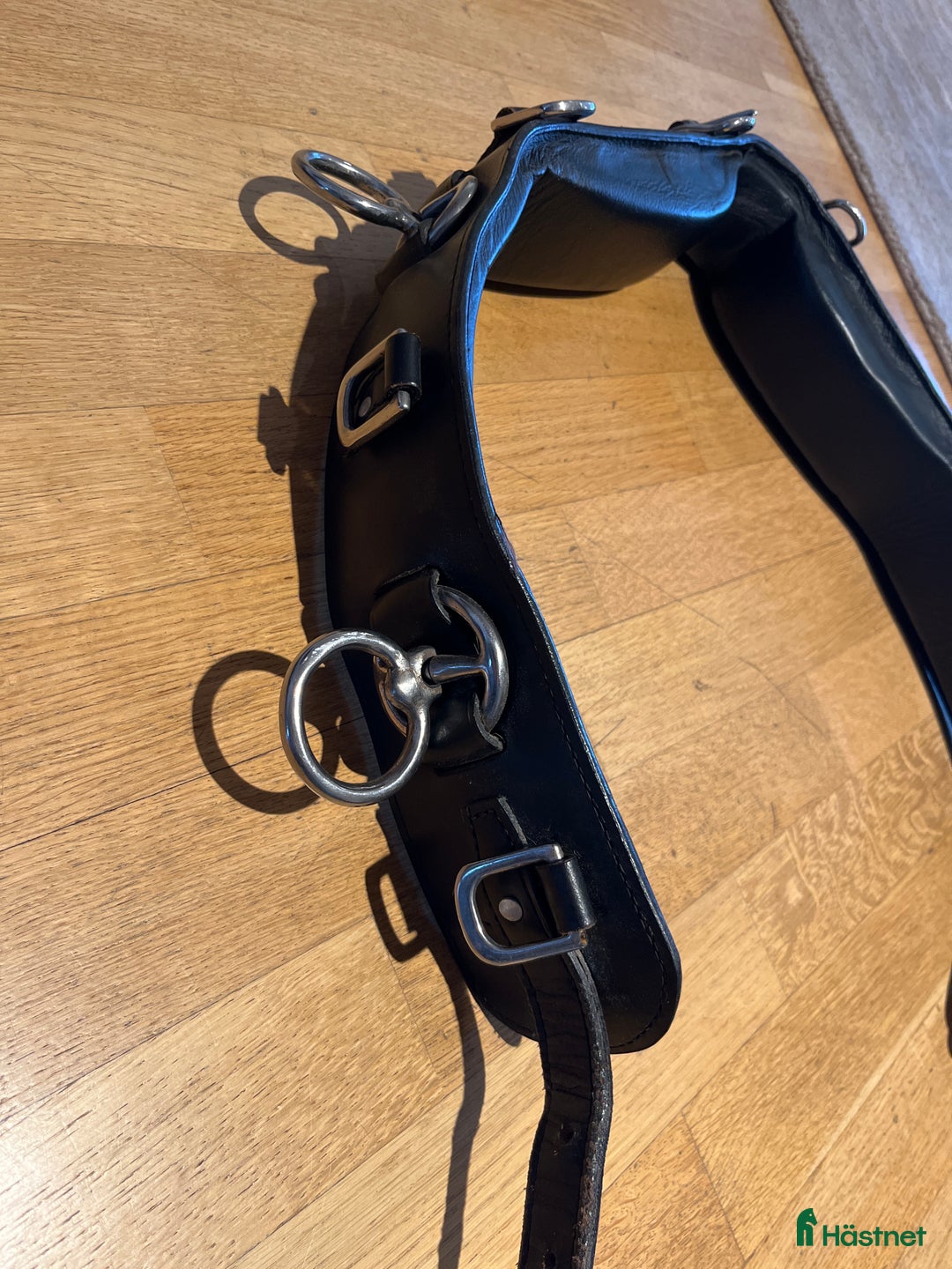 Övrig Hästutrustning hästutrustning till salu: Tömkörningsgjord  i Åkersberga - Annons 2