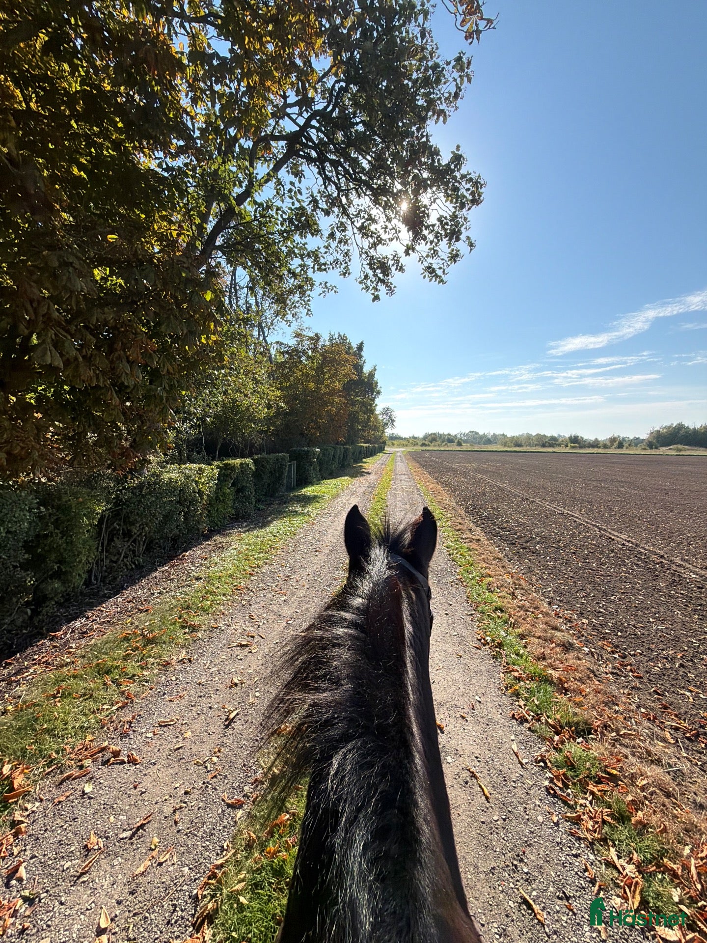  stallplats Stallplats finns utanför Vellinge - Annons 1