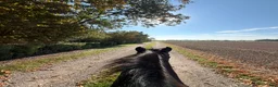  stallplats finnes: Stallplats finns utanför Vellinge - Annons 1