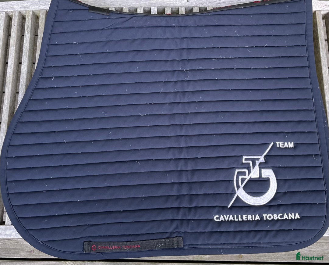 Schabrak & Vojlockar hästutrustning till salu: Cavalleria Toscana  i Göteborg - Annons 1