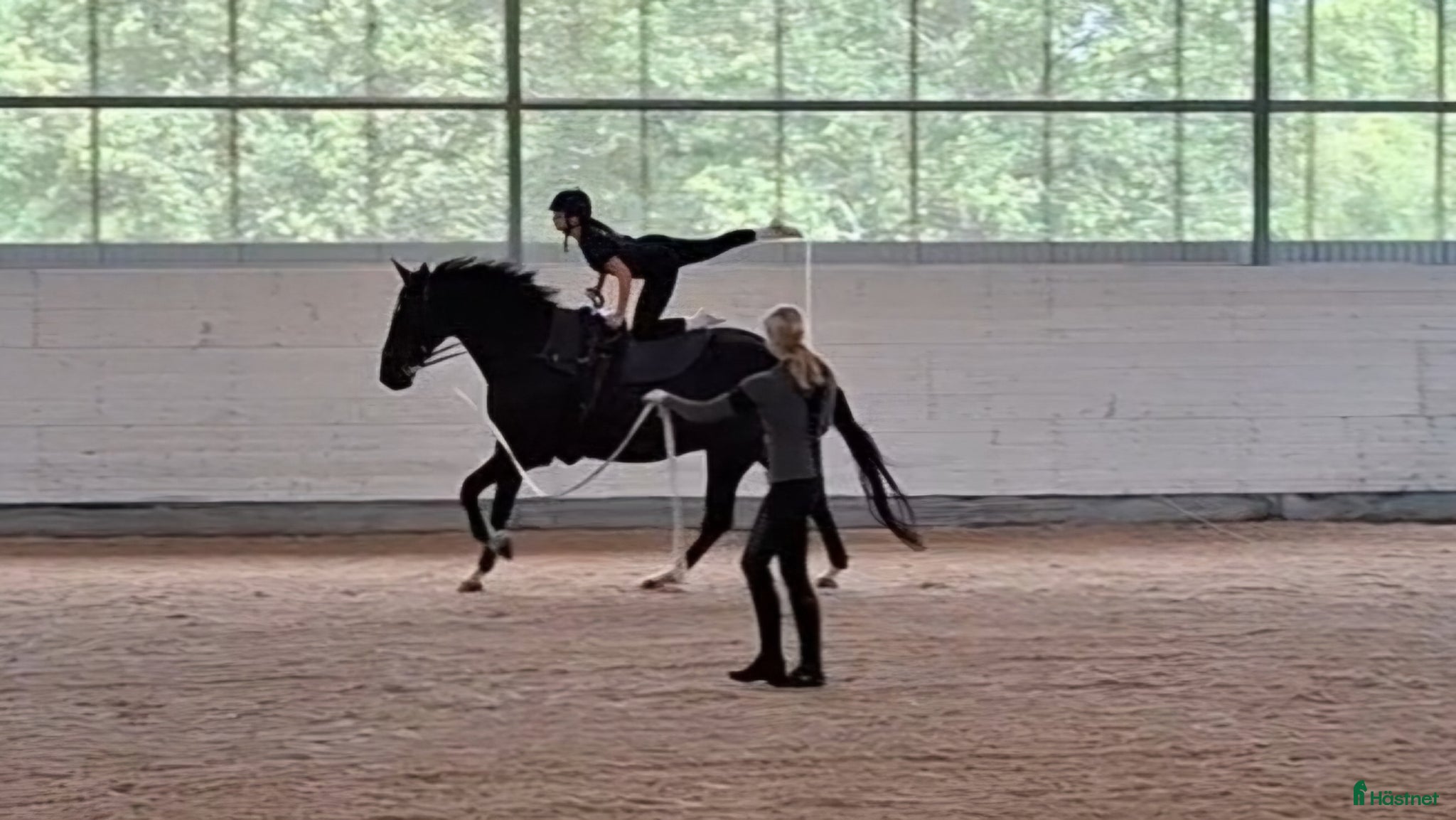  hästar Voltige - Annons 12