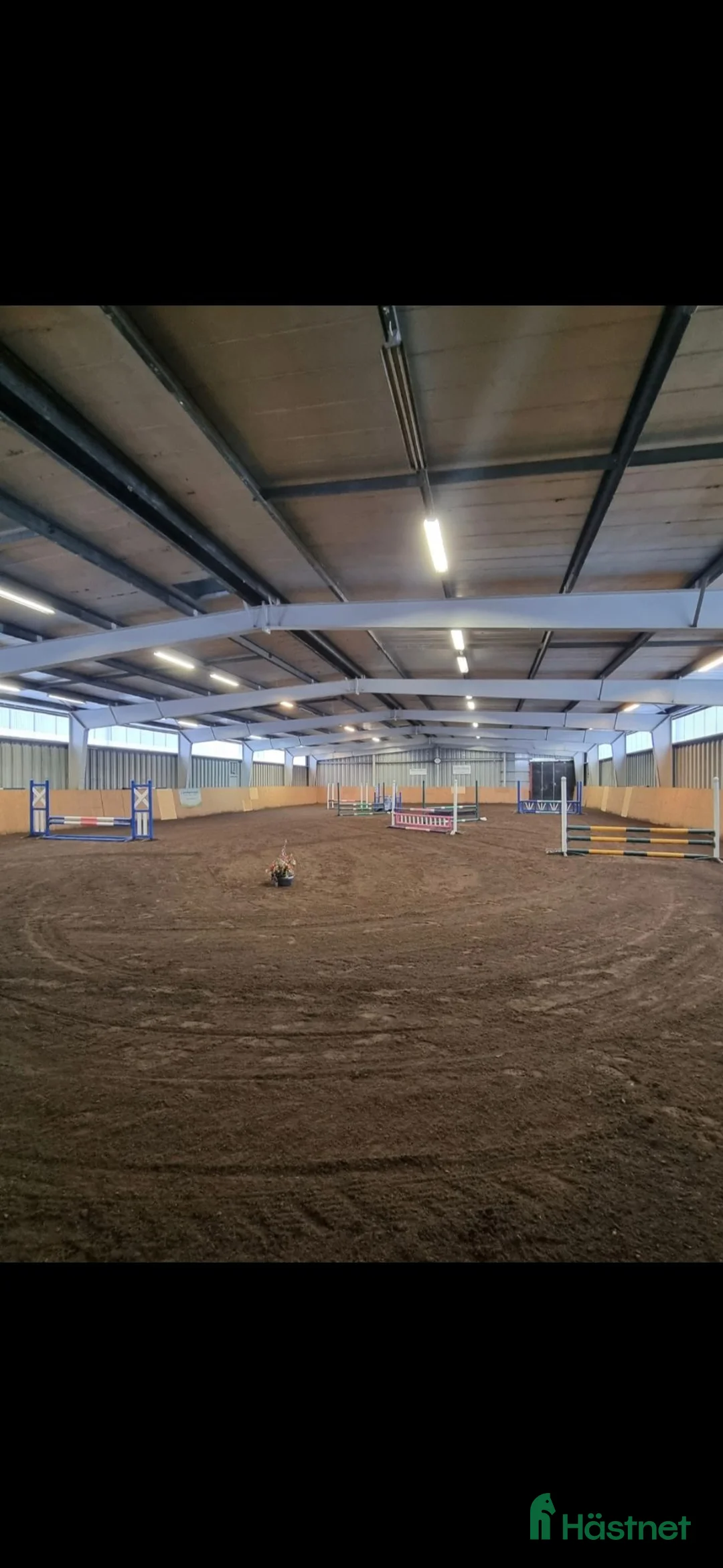  stallplats finnes: Stallplatser lediga  - Annons 2