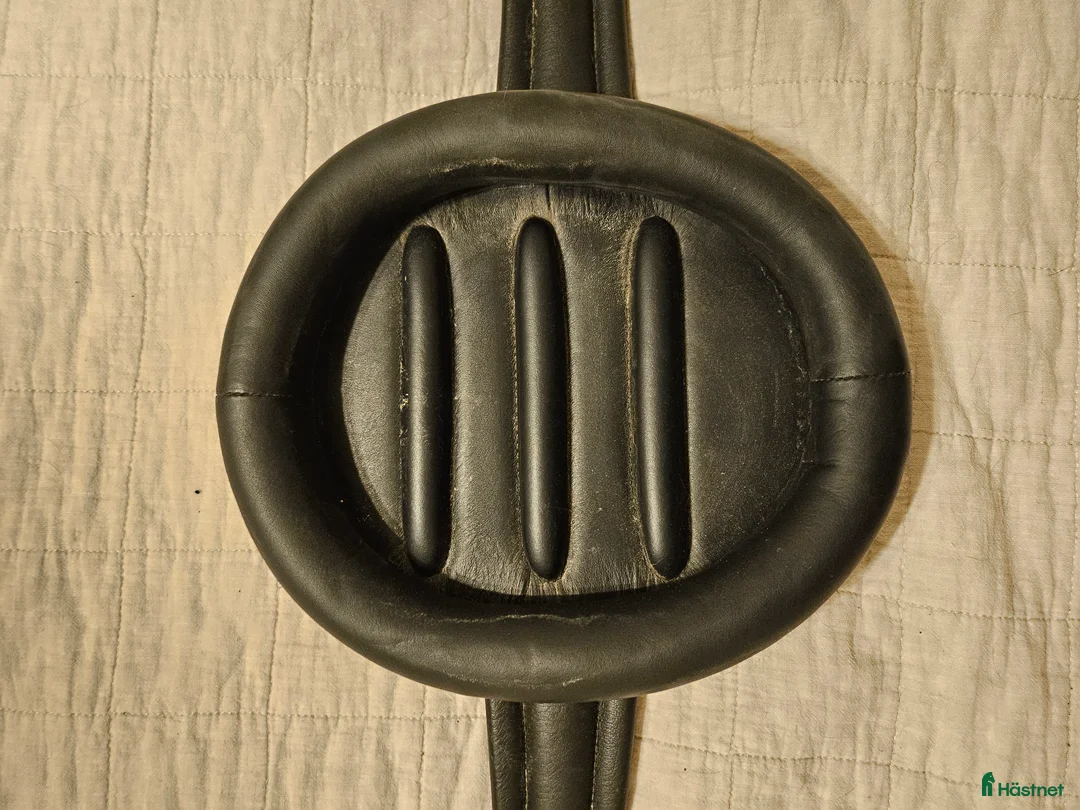 Sadeltillbehör hästutrustning till salu: Prestige RP hoppgjord i Karlskrona - Annons 3