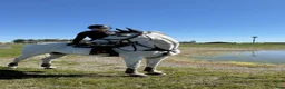 Hoppning hästar till salu: Lyxig hobbyhäst - Annons 2