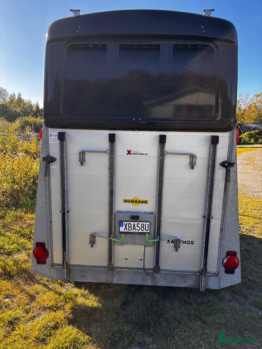 Hästtransporter  fordon & transport till salu: Humabauer Xantos - Annons 5