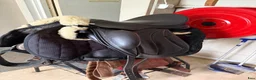 Sadlar hästutrustning till salu: Santa cruz dressyrsadel luna 17,5” - Annons 2