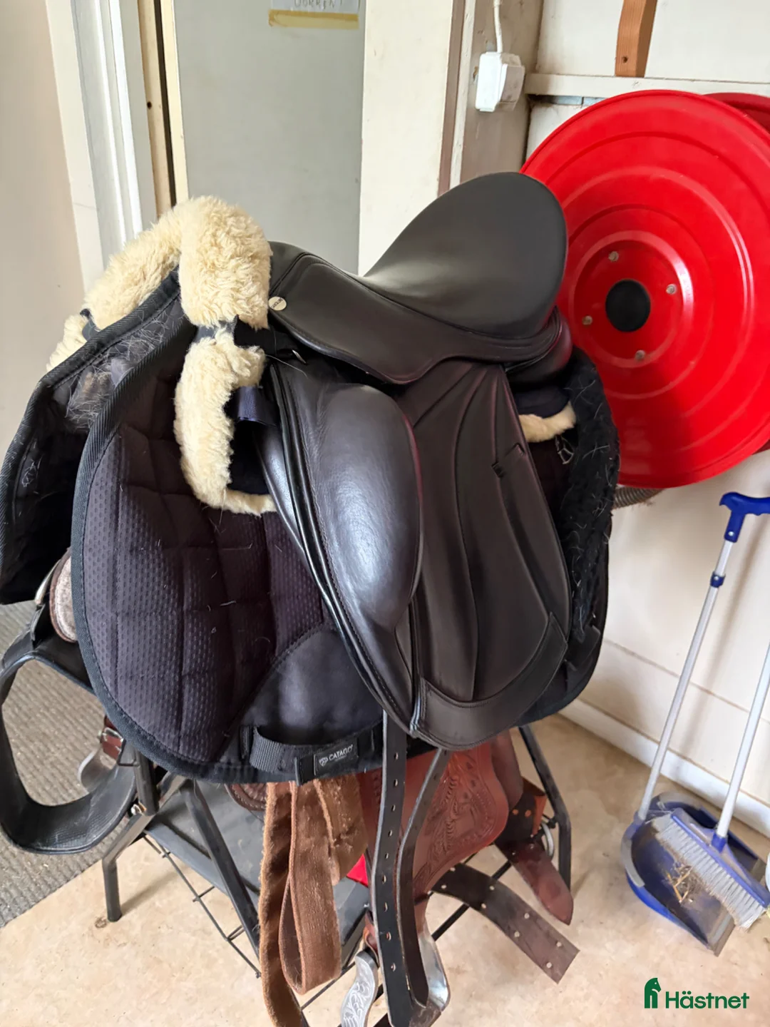 Sadlar hästutrustning till salu: Santa cruz dressyrsadel luna 17,5” - Annons 2