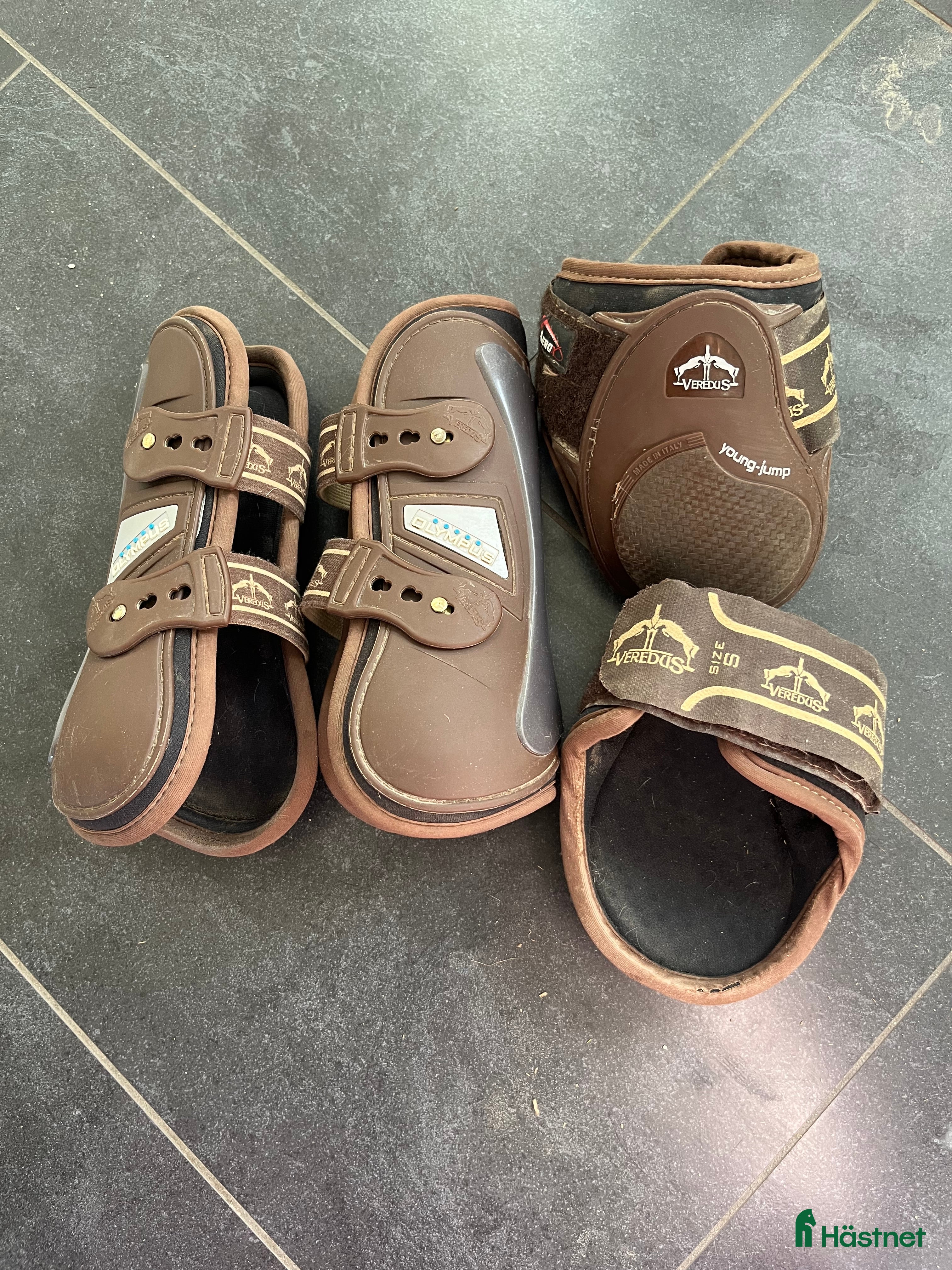 Benskydd hästutrustning Veredus benskydd  i Kristianstad - Annons 8