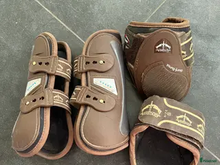 Benskydd hästutrustning Veredus benskydd i Kristianstad - Annons 8