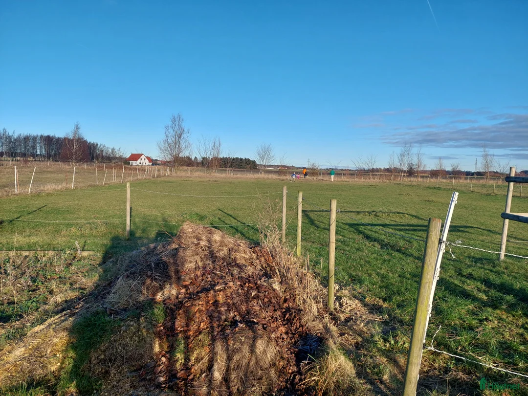  stallplats finnes: Stallplats i litet mysigt stall I Hofterup i Löddeköpinge - Annons 2