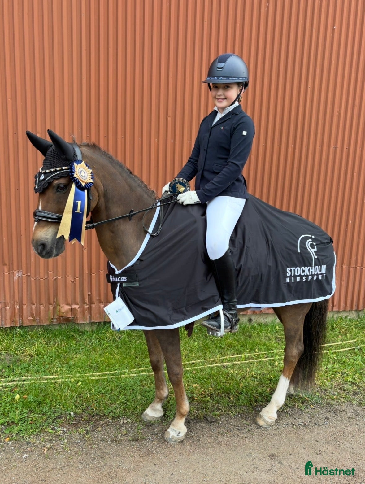  hästar SM ponny med stort ❤️ i Rimbo - Annons 1