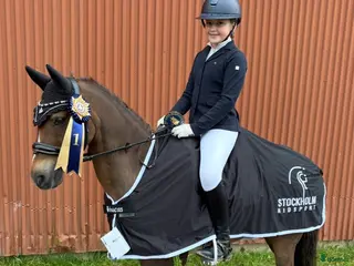 hästar SM ponny med stort ❤️ i Rimbo - Annons 1