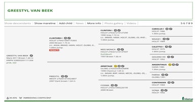  hästar i Köping - Annons 14