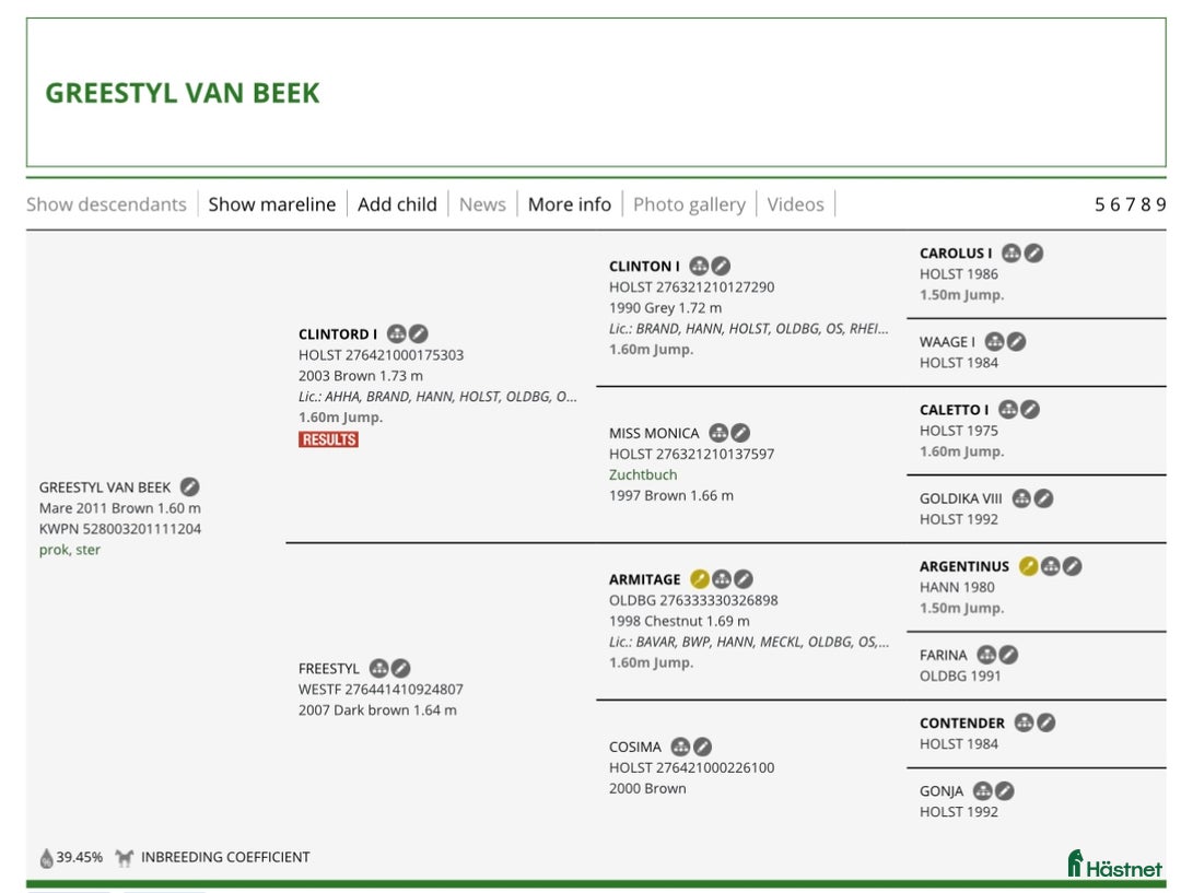 Allround hästar till salu: Välutvecklad och Framåt i Köping - Annons 3
