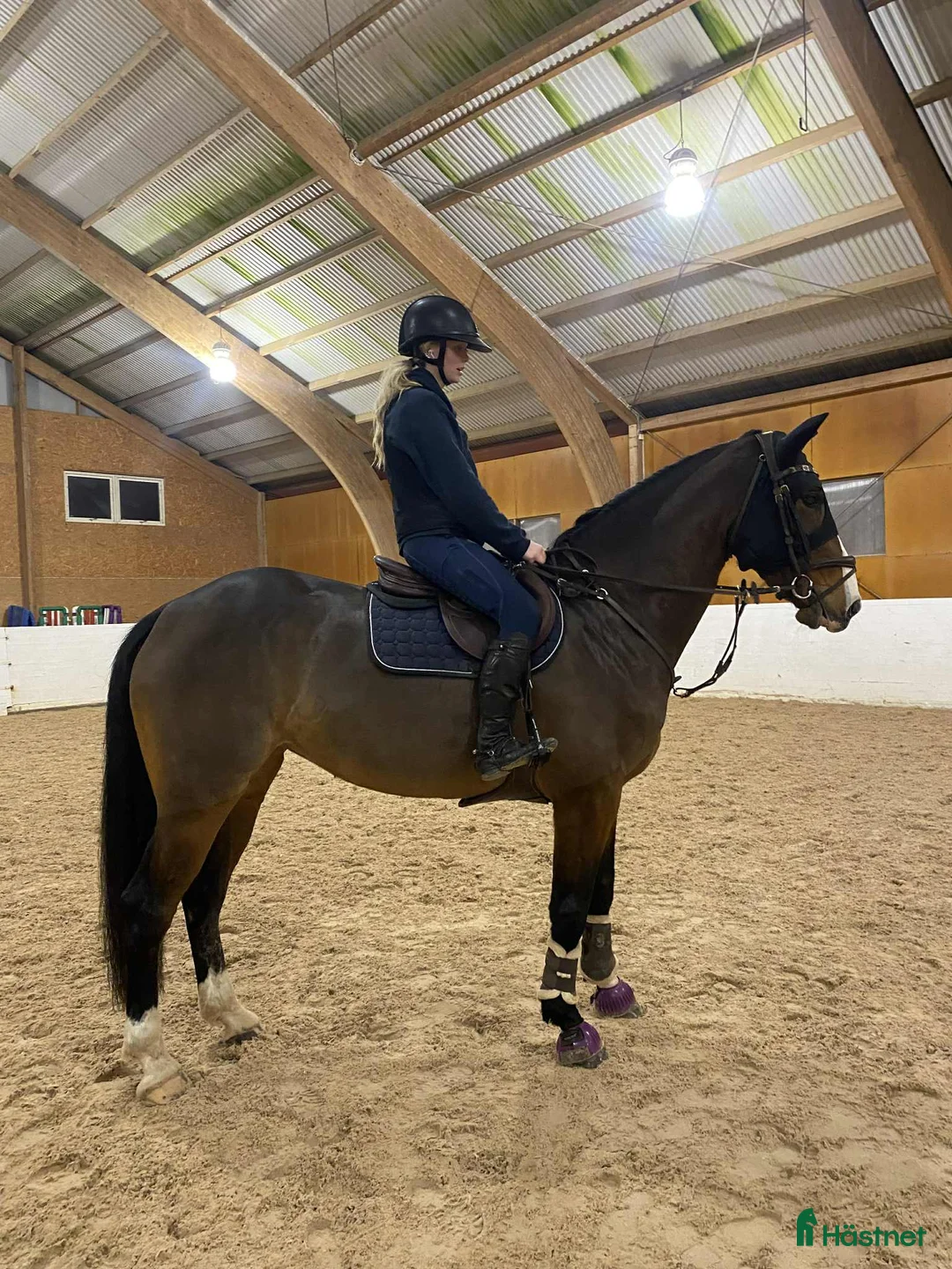 Hoppning hästar till salu: Fantastik tjej 🤩 - Annons 1