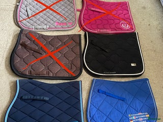 Schabrak & Vojlockar hästutrustning till salu: Schabrak strl full i Linneryd - Annons 3