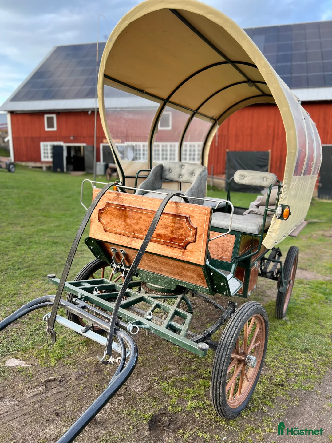 Körvagnar körning till salu: Wagonette  - Annons 2