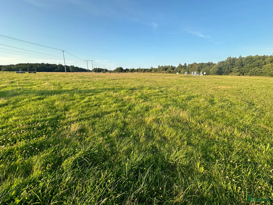  hästgårdar uthyres: Boxar/del av stall, 14 boxar i nordvästra Skåne i Össjö - Annons 7