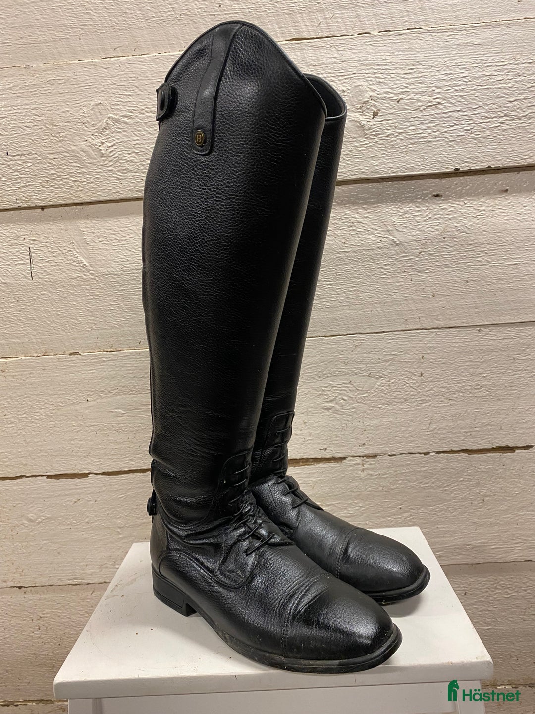 Ridstövlar ryttarutrustning till salu: Ridstövel Amadora i Njurunda - Annons 2