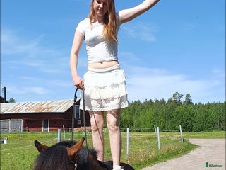 medryttarhäst sökes: Söker medryttar ponny/häst. i Bollnäs - Annons 1