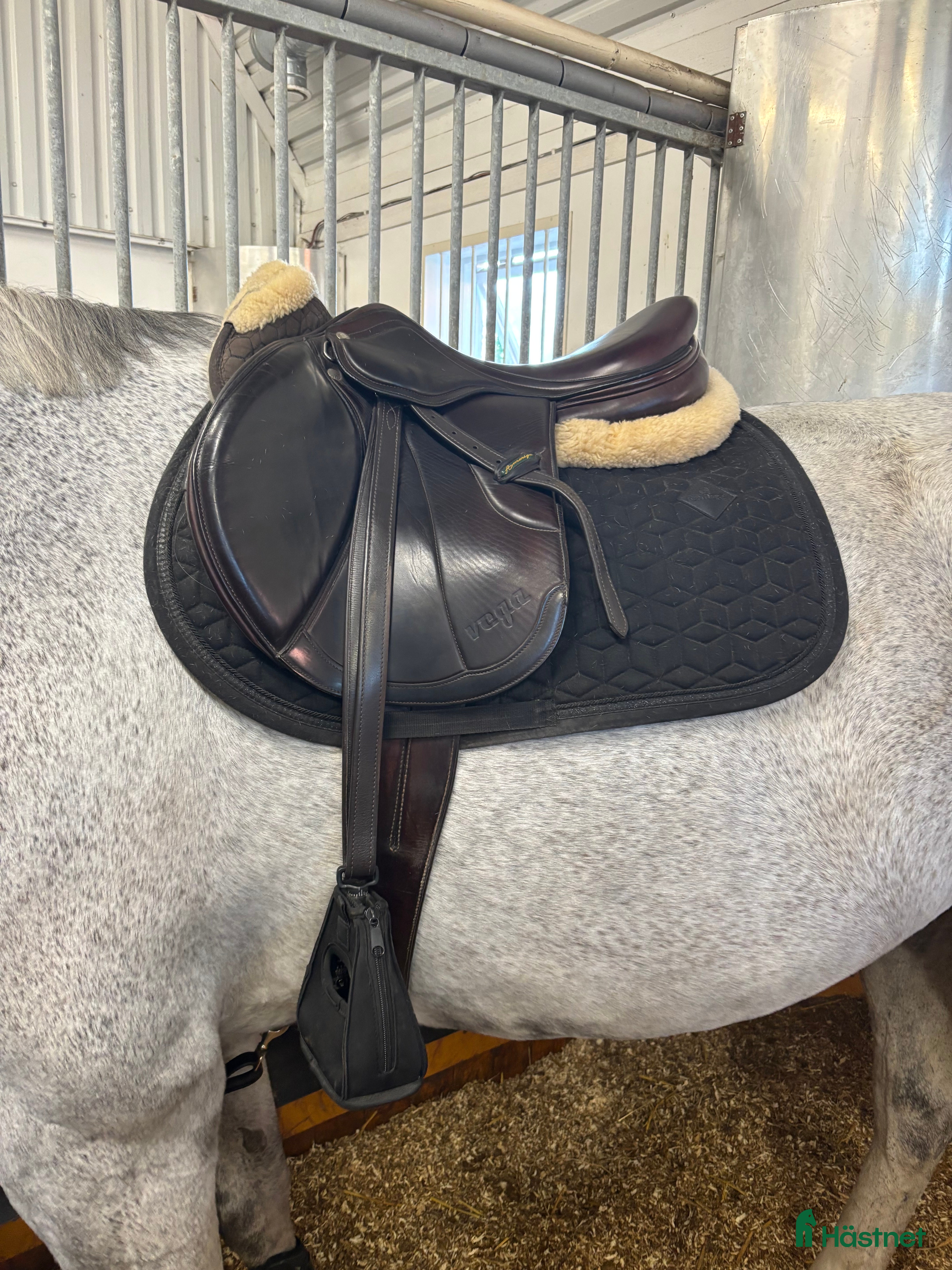 Sadlar hästutrustning till salu: Amerigo Vega  i Västerhaninge - Annons 11